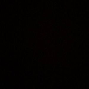 Meet your Posher, Elyssa